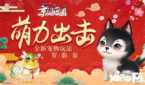 京門風(fēng)月寵物