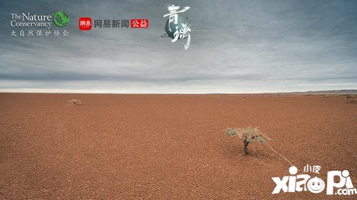 青璃ios明日上線