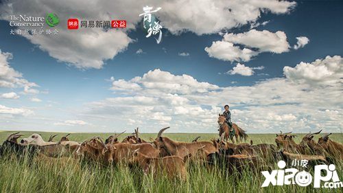 青璃ios明日上線