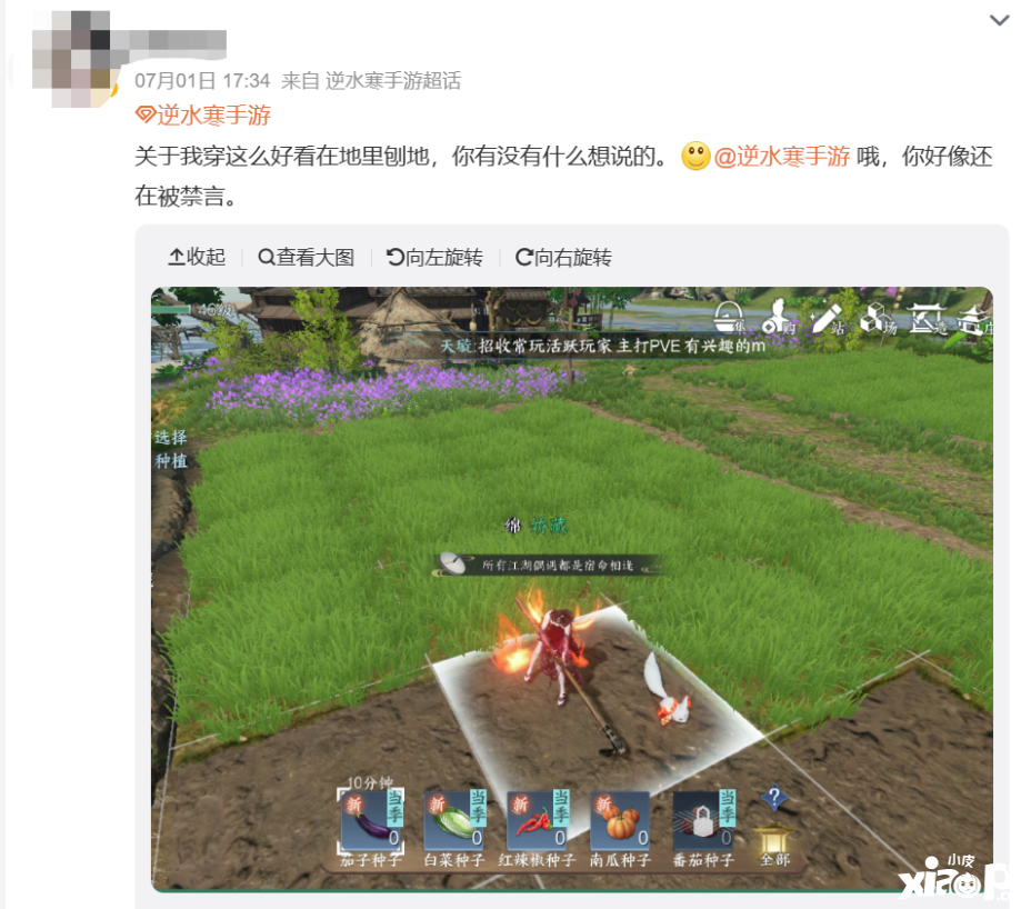 不愿給微博交天價保護費被禁言，逆水寒手游把錢花哪了？