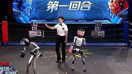 美女機(jī)器人擊倒對(duì)手后拍屁股挑釁 團(tuán)隊(duì)：預(yù)設(shè)動(dòng)作